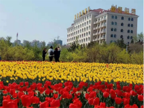 ɽ�|ʡ���з���(w��)�����W(xu��)Ժ�������Ƶ꼯�F����ɲ��ࡱ�Æ᣿