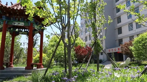 �Ї�ú�V�Ĺ��Fˇ�g(sh��)�W(xu��)У���H���й��I(y��)�W(xu��)У�������I(y��) 2019�������_ʼ����