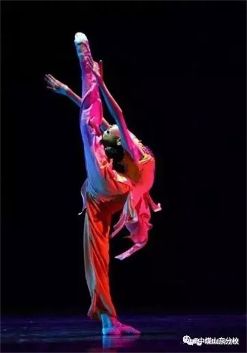 �Ї�ú�V�Ĺ��Fˇ�g(sh��)�W(xu��)�����H���й��I(y��)�W(xu��)У�������I(y��) 2019�������_ʼ����