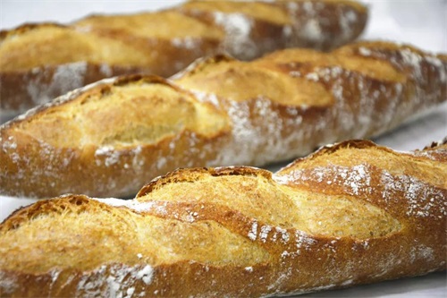 ��(y��ng)���z�ٌW(xu��)У��Ո(q��ng)�ձ��決��9�ퟟ�_(t��i)���n��