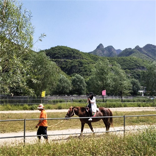 ���^�� ���g�� ����ӛ��(chu��ng)Ԫ����Ұ��������