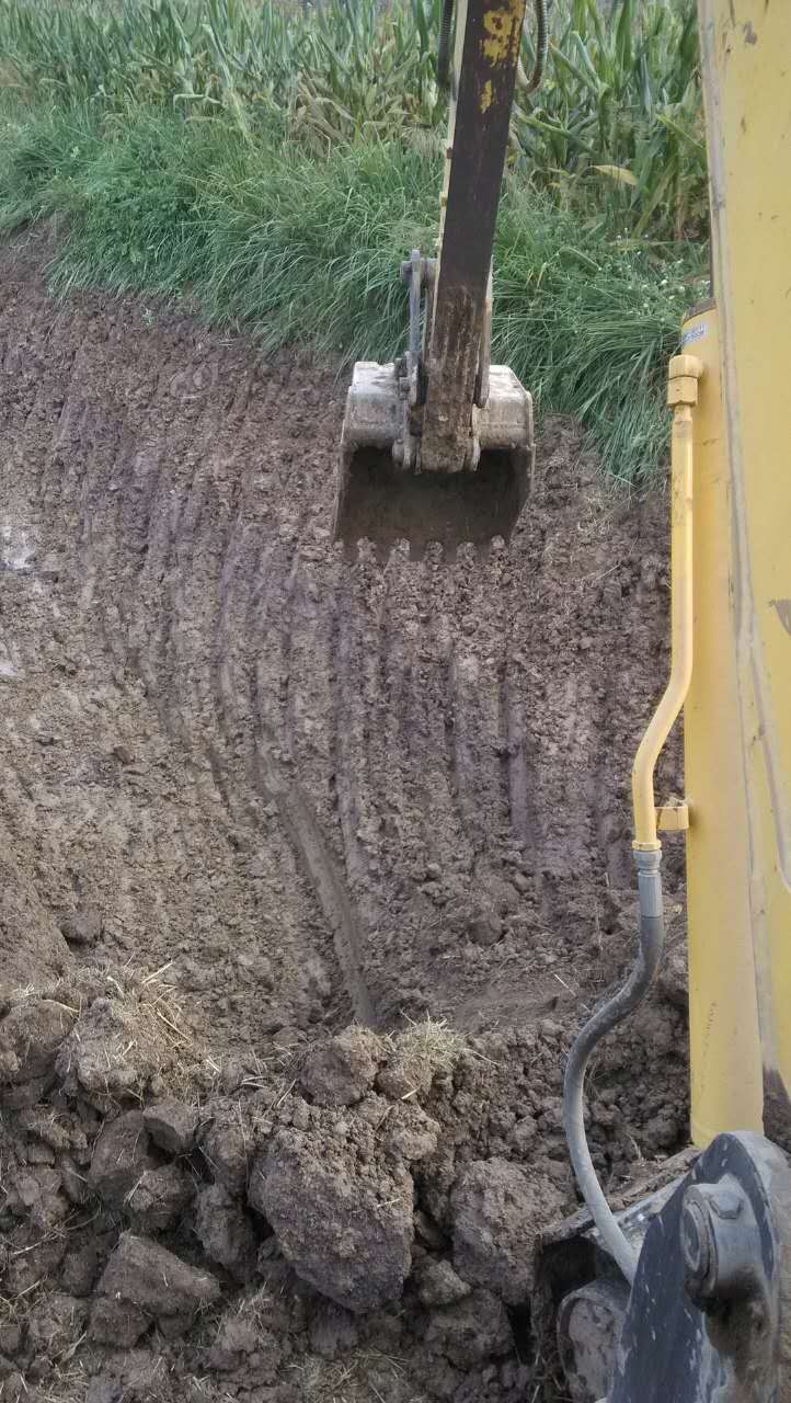 ɽ�|�ļҌWУ�܌W�ھ�C��