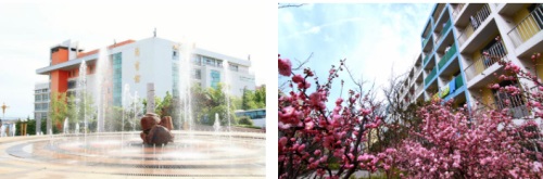 ���u��(sh��)�I(y��)���g(sh��)�W(xu��)Ժ��ô����