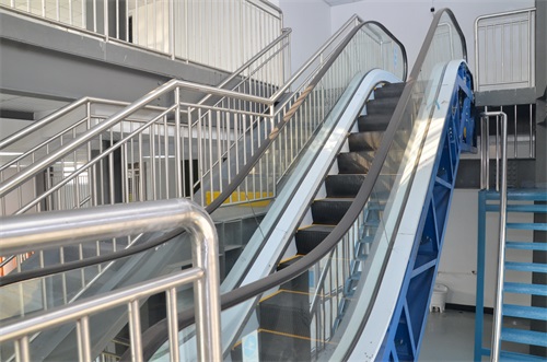 ���u��ʯ���߼������W(xu��)У2020����������