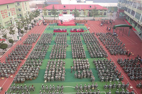 ���ɇ�(gu��)�������������w����(zhu��n)�I(y��)�����F(xi��n)���w����(zhu��n)�I(y��)�аl(f��)չ����