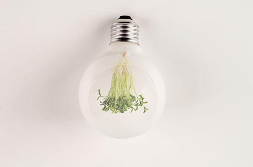 ����l(f��)늼��g(sh��)��ʲô�l(f��)չ�������W(xu��)�����ԌW(xu��)��(x��)��