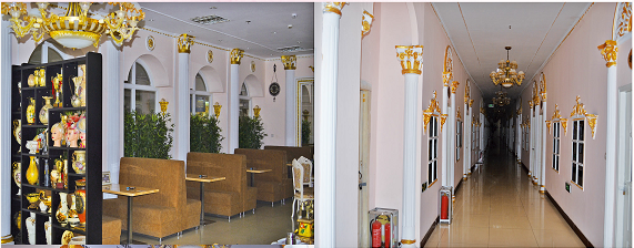 ���������������l(f��)������Ӗ�WУ�������OӋ�����n������Щ��