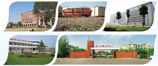 ������ʲô��ɽ�|�F(xi��n)���߿�������Ӗ(x��n)������ô������Ӗ(x��n)������Ҏ(gu��)�᣿