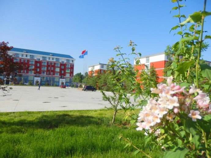 �R��Ƽ��Ļ����ތW(xu��)У����ʲô���I(y��)�����I(y��)��ô����