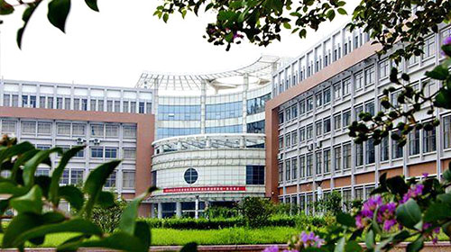 ɽ�|���������W(xu��)Ժ�Ԅӻ�ϵ����ʲô���I(y��)�����I(y��)��ô����