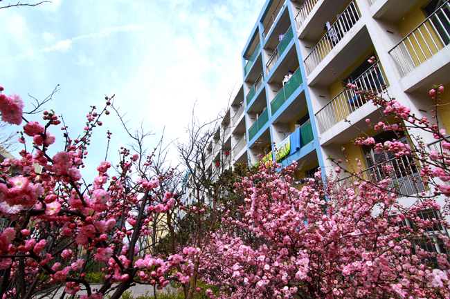 ���u���I(y��)���g(sh��)�W(xu��)Ժ�ώ��̵���ô�ӣ��͘I(y��)��r�Æ���