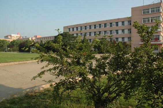 ɽ�|���ڵV�I(y��)���F�߼������WУ�����W�������W�����܌Wʲô���I(y��)��