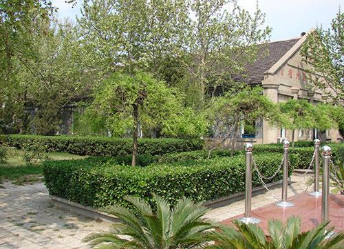 ��������ɭ�����W(xu��)У����Щӆ�ΰ���