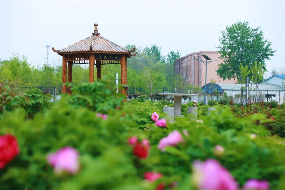 �H���̘I(y��)