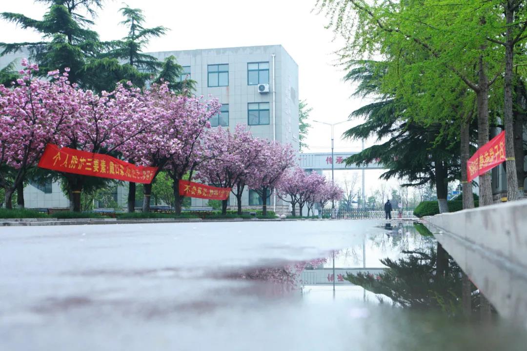 �H���̘I(y��)