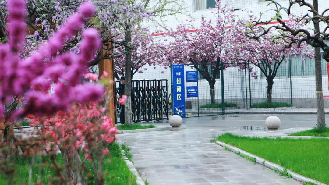 �H���̘I(y��)