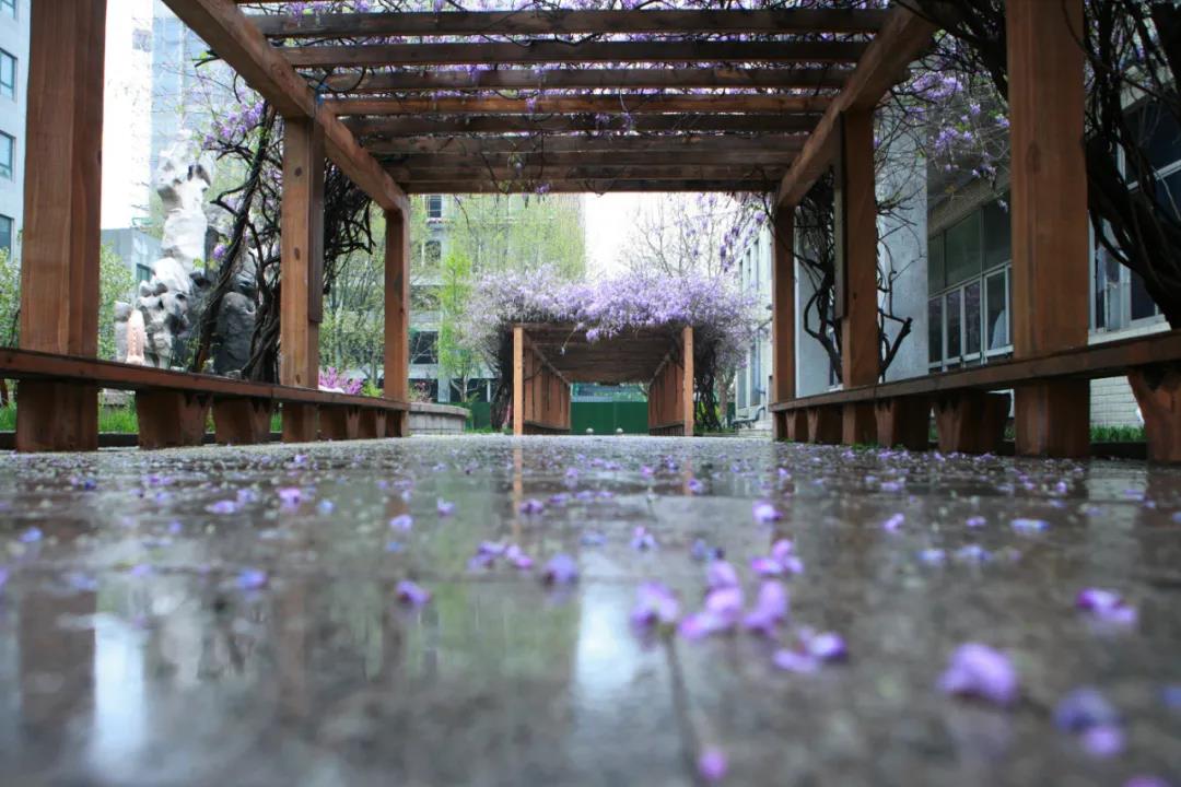 �H���̘I(y��)