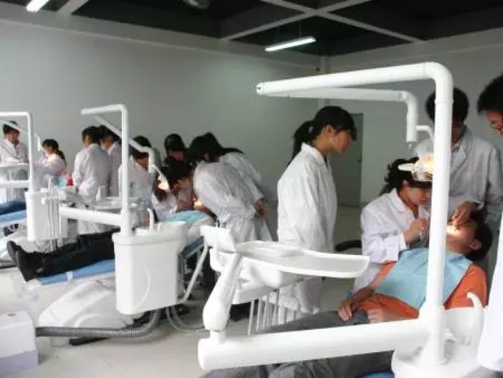 ɽ�|���������W(xu��)У���ԌW(xu��)��ǻ���I(y��)����