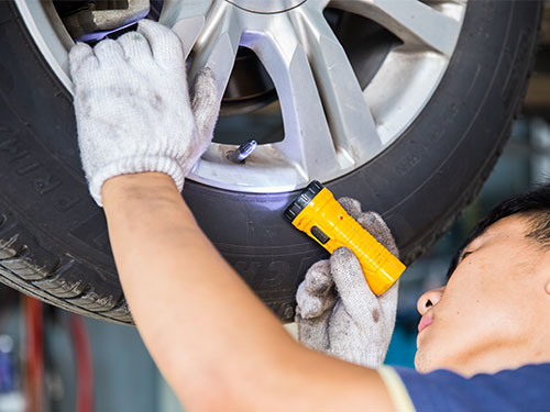 ���f���ތ��I(y��)�Ă�(g��)�W(xu��)У��