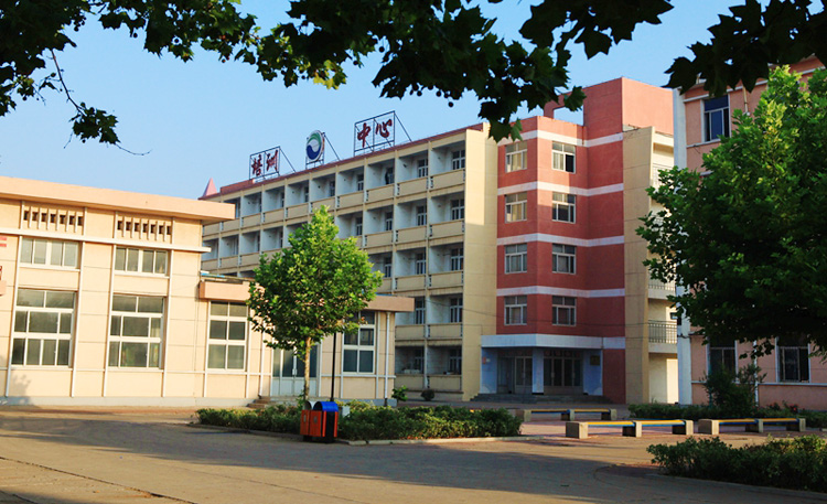 ɽ�|���ڵV�I(y��)���F(tu��n)�߼�(j��)�����W(xu��)У�����W(xu��)���᣿