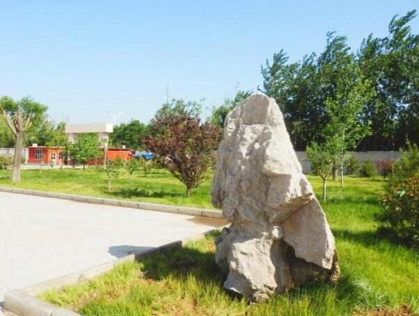 �R��Ƽ��Ļ����ތW(xu��)У����(j��)���R��Ƽ��l(w��i)У���t(y��)�o(h��)�����Щ���I(y��)��