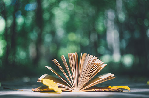 �R������W(xu��)У�܈�����Щ�^�m(x��)�����W(xu��)У��