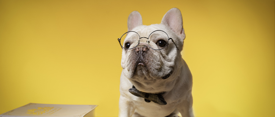 �����W(xu��)���l(f��)��ǰ;����ɽ�|��ЩУ�_�O(sh��)�����l(f��)���I(y��)��