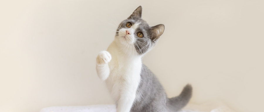 �����x��ʲô���I(y��)�þ͘I(y��)���@Щ���I(y��)���I(y��)��ȱ��������С��X;����