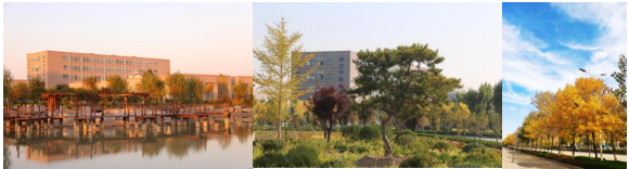 ɽ�|�����I(y��)�W(xu��)Ժ�ò�����