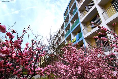 ���u��(sh��)�I(y��)���g(sh��)�W(xu��)Ժ�ò�������ʲô��(y��u)��(sh��)��