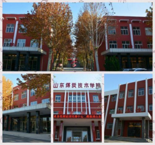 ɽ�|ú̿���g(sh��)�W(xu��)Ժ�W(xu��)��������ô�ӣ�