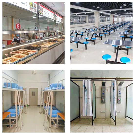 ɽ�|���������W(xu��)Ժ�h(hu��n)���Æ᣿