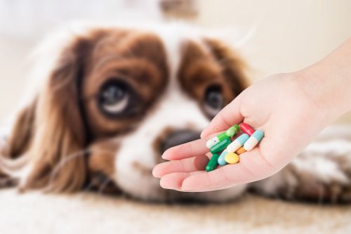 ���ӳɞ�һ�������t(y��)����Ҫ�W(xu��)��(x��)��Щ��(n��i)����