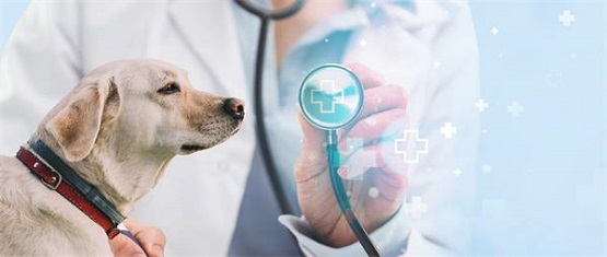 �F�t(y��)�ò��ÌW����Ҫ�W��ʲô��(n��i)����