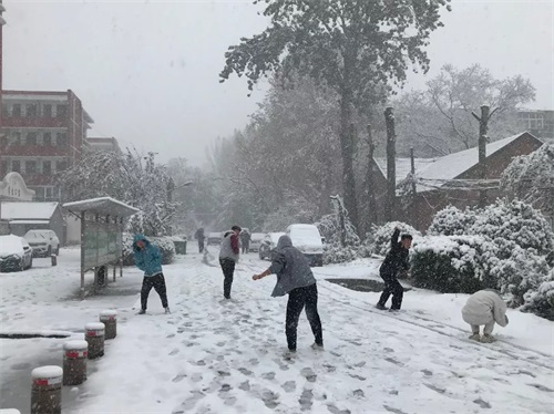 ������������ѩ��s������