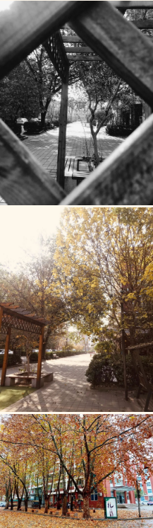 ��һ����������һ���c�����ϑ��ü��g�I(y��)�еȌ��I(y��)�WУ������ɫ��