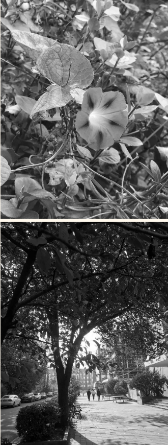 ��һ���֣�����һ���c�����ϑ��ü��g�I(y��)�еȌ��I(y��)�WУ������ɫ��