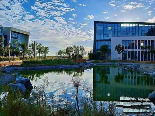 �H���r(sh��)�������W(xu��)У�͘I(y��)���W(xu��)��r��ô����