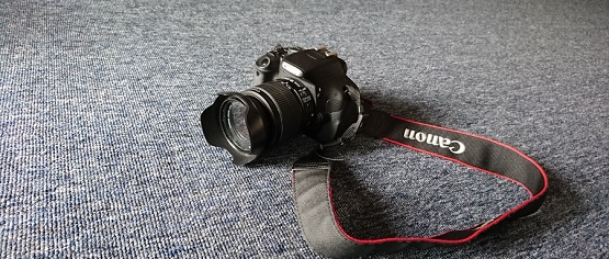 �W(xu��)Ӱҕ�����x����������W(xu��)У��