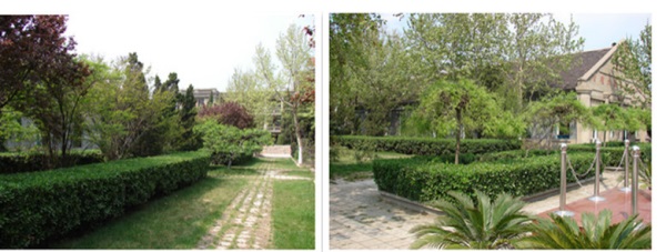 ��������ɭ�����W�����V����