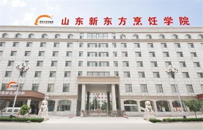 ��Щ�W(xu��)�����ԌW(xu��)��(x��)����� 