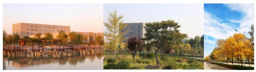 ɽ�|�����I(y��)�W(xu��)Ժ���V����