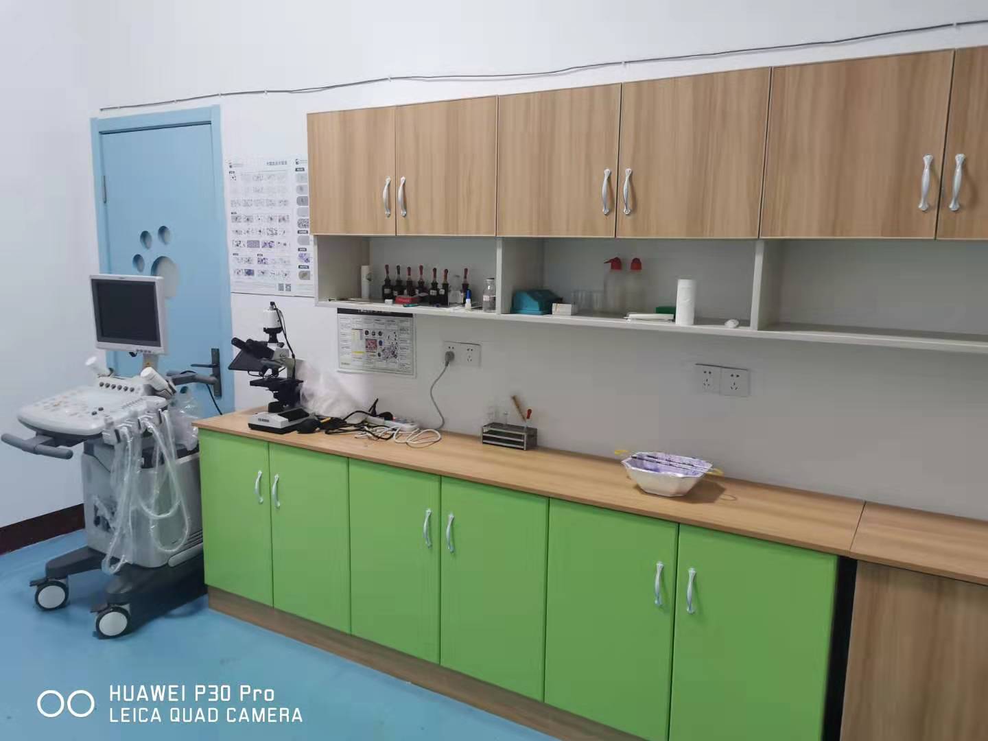 ɽ�|Ԫ���R���F�t(y��)��Ӗ(x��n)�W(xu��)У�_(k��i)�O(sh��)����Щ�������g(sh��)��Ӗ(x��n)�n�̰���