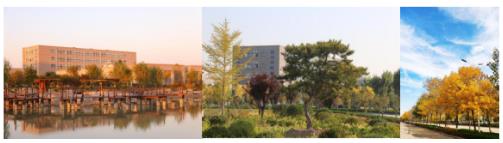 ɽ�|�����I(y��)�W(xu��)Ժ�к΃�(y��u)��(sh��)��