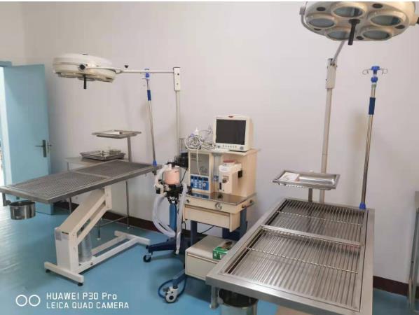 ɽ�|Ԫ���R���F�t(y��)��Ӗ�WУ�Æ�����Έ����@���WУ��