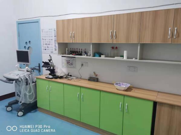 ɽ�|Ԫ���R���F�t(y��)��Ӗ(x��n)�W(xu��)У�_�O(sh��)����Щ�����n�̰���