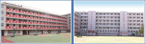 ɽ�|���Q(m��o)�����W(xu��)�����V����