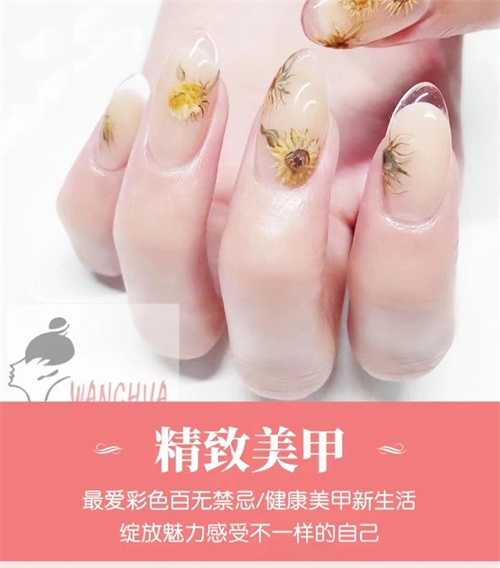 ��(j��)�����y���׌W(xu��)У����ȫ�ư�Æ���