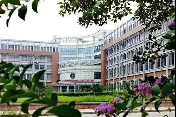 ɽ�|���������WԺ�����l������Щ��